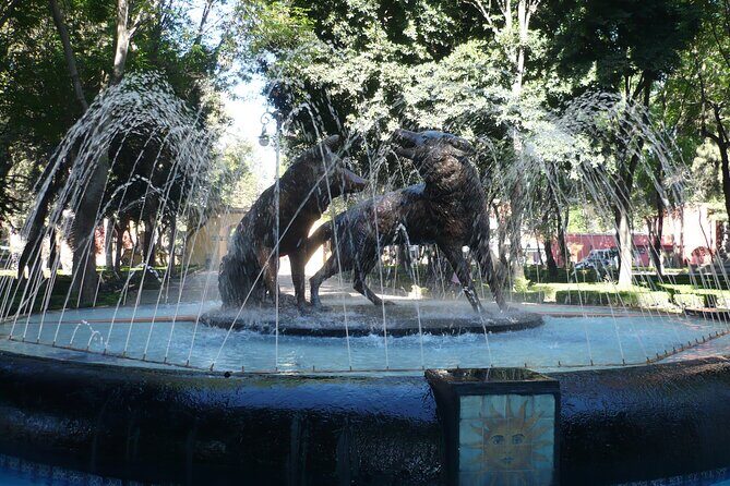 Xochimilco, Coyoacan and Frida Kahlo Museum Tour - The Practicalities