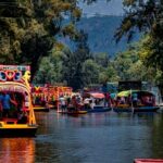 Xochimilco, Coyoacan and more tours - Practical Details and What to Expect