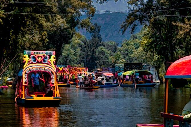 Xochimilco, Coyoacan and more tours - Practical Details and What to Expect