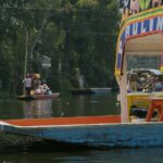Xochimilco, Coyoacán & Ciudad Universitaria Tour - Who Will Love This Tour?