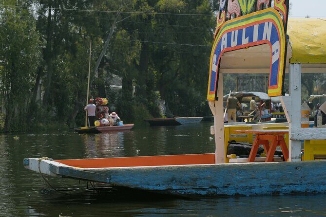 Xochimilco, Coyoacán & Ciudad Universitaria Tour - Who Will Love This Tour?
