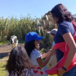 Xochimilco for kids and families - In-Depth Look at the Itinerary