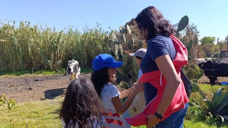 Xochimilco for kids and families - In-Depth Look at the Itinerary