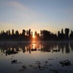 Xochimilco in Kayak - Value and Practical Considerations