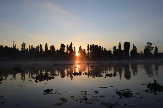 Xochimilco in Kayak - Value and Practical Considerations