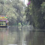 Xochimilco Serene: A Calm Cultural Escape from the Crowds - The Experience’s Strengths and Considerations