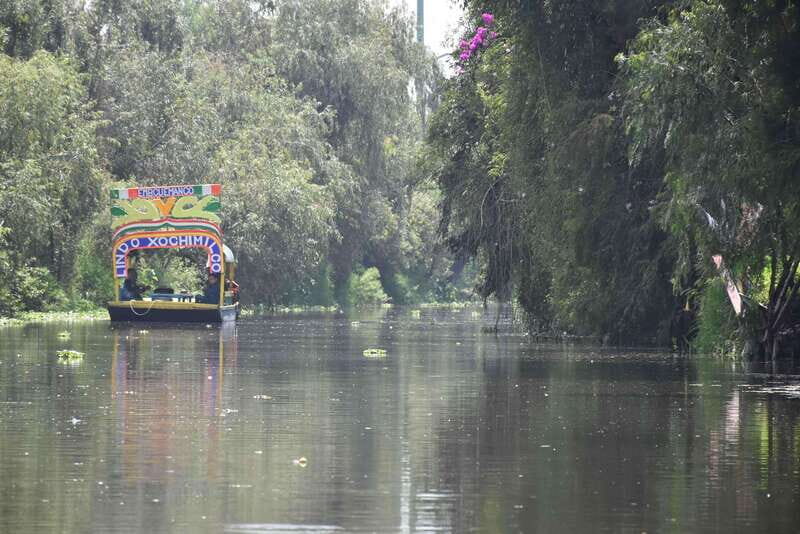 Xochimilco Serene: A Calm Cultural Escape from the Crowds - The Experience’s Strengths and Considerations