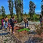 Xochimilco Sunrise Kayak Ajolote - Final Thoughts on Value and Experience