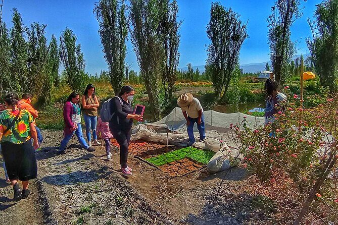 Xochimilco Sunrise Kayak Ajolote - Final Thoughts on Value and Experience