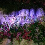 Xoximilco Ticket: Boat Fiesta, Traditional Tasting & Tequila Bar - Authenticity and Cultural Value