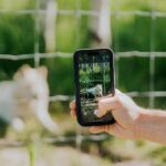 Yamnuska Wolfdog Sanctuary Walk Ticket in Canada - What Makes This Experience Stand Out