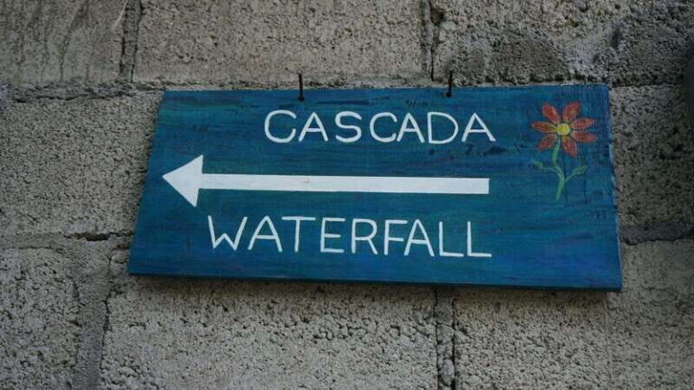 Yelapa: Catamaran Cruise with Lunch and Open Bar - The Cruise: From Bay to Water and Beyond