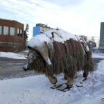 Yellowknife City Tour - Final Thoughts: Who Will Love This Tour?