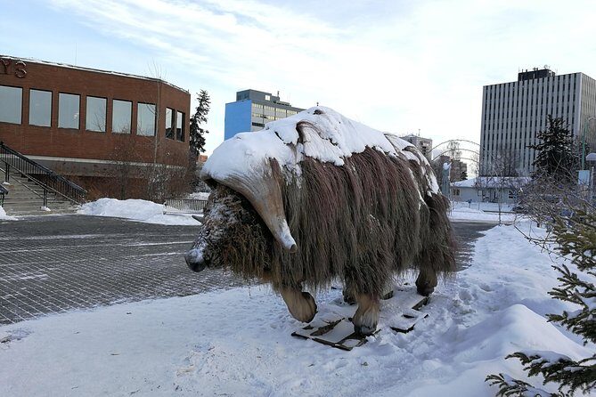 Yellowknife City Tour - Final Thoughts: Who Will Love This Tour?