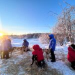 Yellowknife: Indigenous Dog Sledding Experience - Authenticity and Value