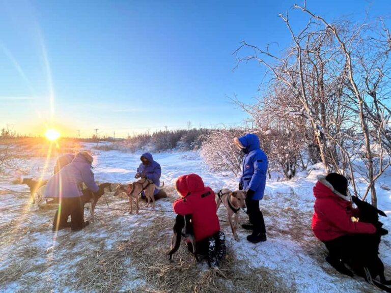 Yellowknife: Indigenous Dog Sledding Experience - Authenticity and Value
