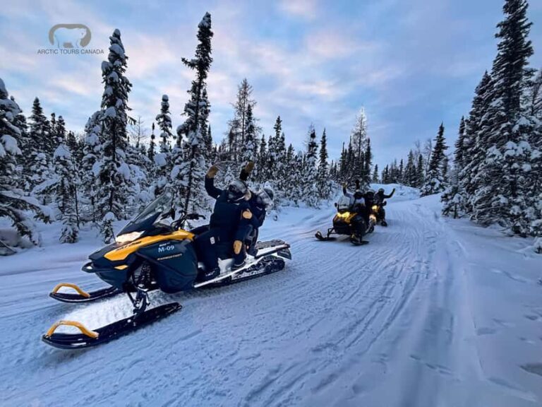 Yellowknife: Snowmobile and Ice Cave Guided Adventure Combo - The Practical Side: Logistics and Value