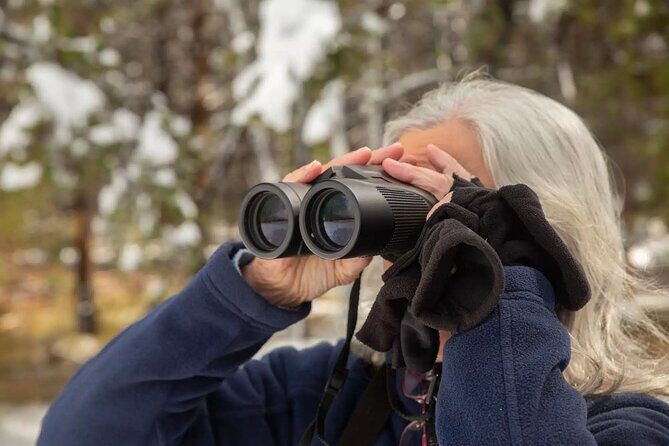 Yellowstone Full Day Private Tour & Hike - from Inside the Park - Why Travelers Will Appreciate This Tour