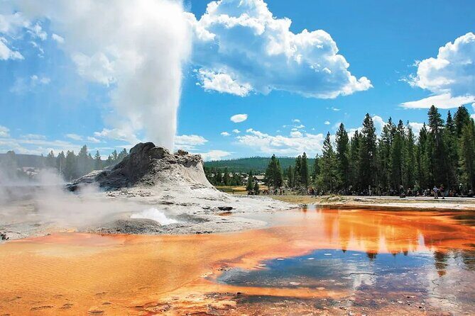 Yellowstone Grand Teton and Coeur dAlene 5-Day Tour from Seattle - Transportation, Accommodation, and Value