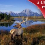 Yellowstone, Grand Teton, and Hot Springs: Small Group 5-Day Tour - The Experience of a Small Group