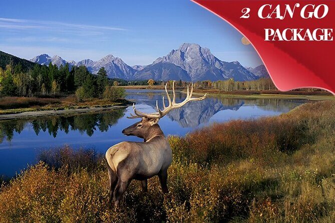 Yellowstone, Grand Teton, and Hot Springs: Small Group 5-Day Tour - The Experience of a Small Group