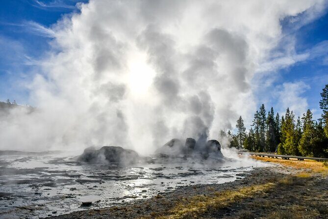 Yellowstone & Grand Teton National Parks: Small Group 4-Day Tour - Transportation, Accommodation, and Value