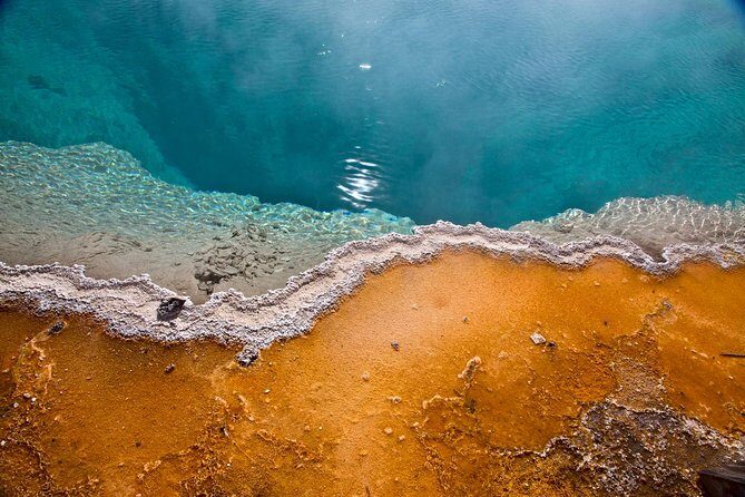 Yellowstone National Park Group Tour - Price Analysis and Value