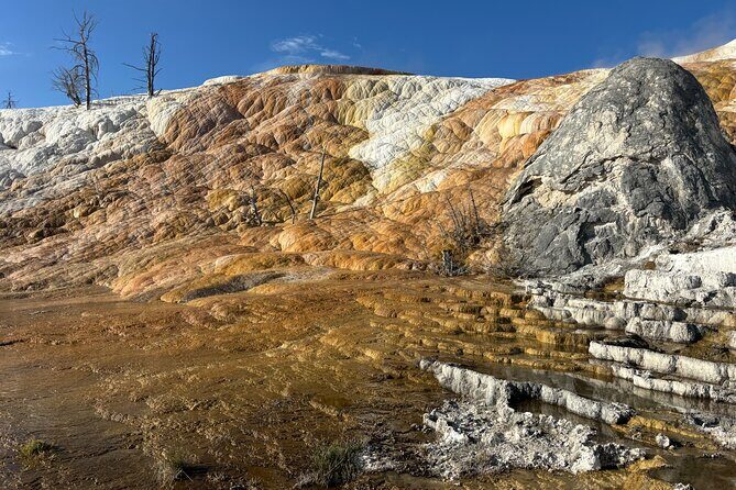 Yellowstone Park Private Day Trip from Big Sky - Full or Half Day - Who Should Book This Tour?