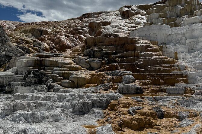 Yellowstone Private Tour - Who Is This Tour Best For?
