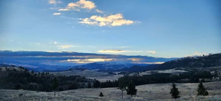 Yellowstone: Wildlife Tour with Coffee and Photos - The Itinerary Breakdown: What to Expect