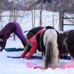 Yoga with Horses - Who Will Love This Experience?