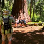 Yosemite: Giant Sequoia Private 4X4 Jeep Tour - The Experience in Detail