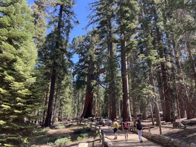 Yosemite, Giant Sequoias, Private Tour from San Francisco - Analyzing the Price — Is It Good Value?