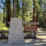 Yosemite National Park & Sequoias Private Tour from San Francisco - The Experience in Detail
