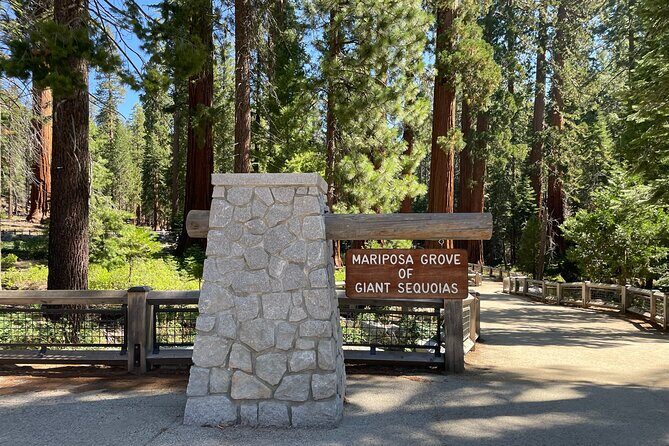 Yosemite National Park & Sequoias Private Tour from San Francisco - The Experience in Detail