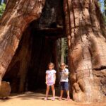 Yosemite Private Tour from San Francisco - The Practical Side: Price, Timing, and Booking