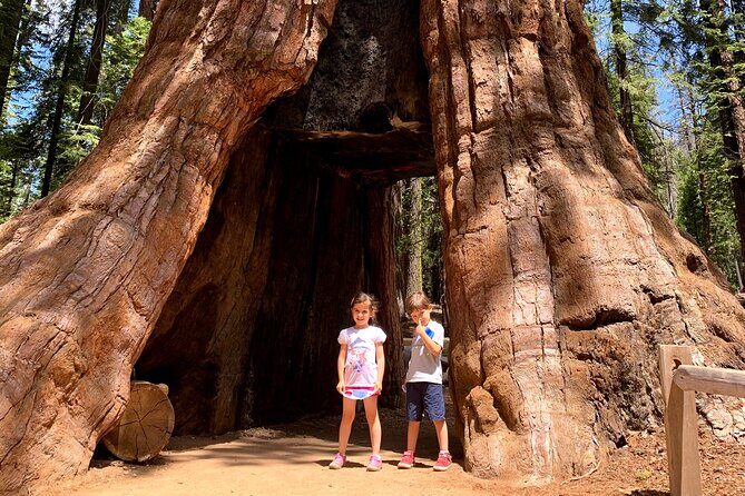 Yosemite Private Tour from San Francisco - The Practical Side: Price, Timing, and Booking