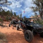 YOU DRIVE!! 5 Hr UTV Tour Pictograph Panel, Sand Boarding & More - The Sum Up