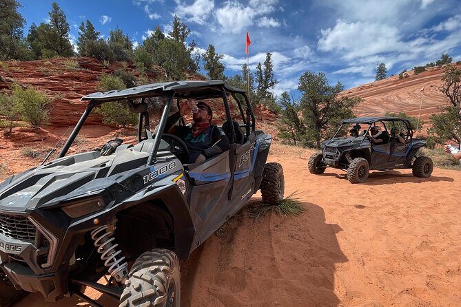 YOU DRIVE!! East Zion's Hidden Treasures - 4 Hr UTV Tour - The Sum Up