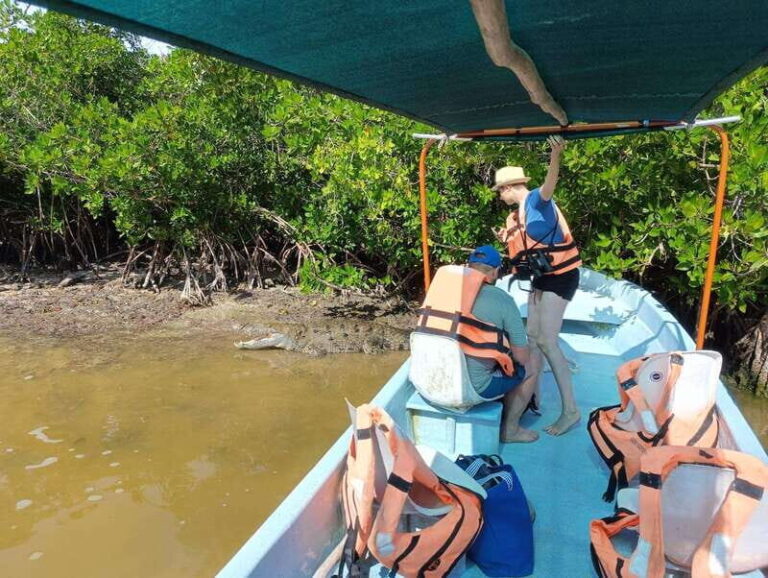 Yucatán: Río Lagartos Biosphere Reserve Boat Tour - What’s Included and What’s Not