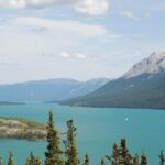 Yukon Extended Summit Drive Tour (From Skagway) - The Value & Caveats