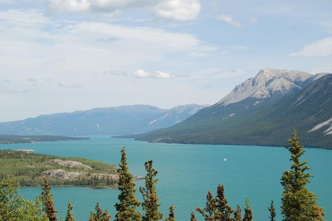 Yukon Extended Summit Drive Tour (From Skagway) - The Value & Caveats