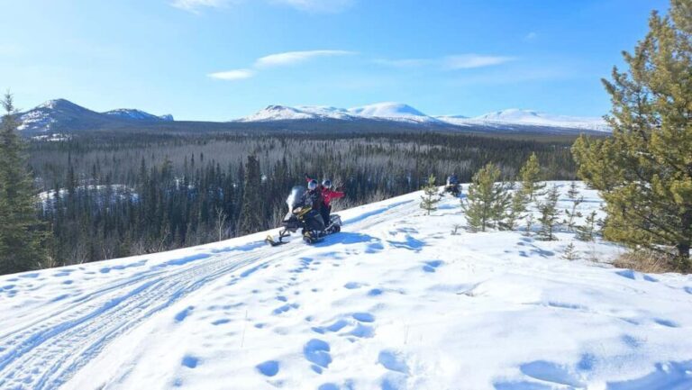 Yukon: Half-Day Snowmobile Tour - The Itinerary: What You Can Expect