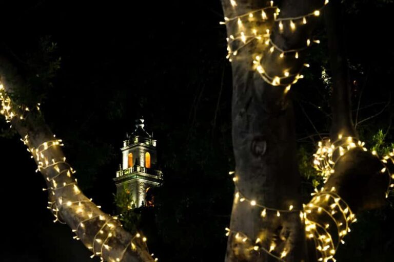 Yuletide in Mérida: A Private Tour Through Holiday Splendor - Authenticity and Local Insights