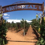 Zacatecas: Campo Real Vinícola Tour - The Sum Up: Is This Tour Worth It?