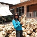 Zacatecas: Millennial Teúl Tour - Who Will Appreciate This Tour?