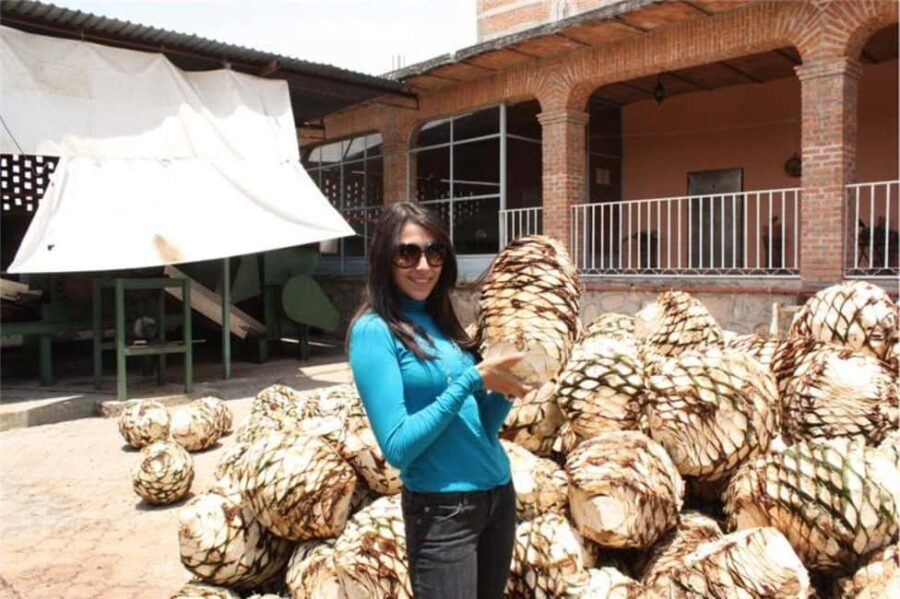 Zacatecas: Millennial Teúl Tour - Who Will Appreciate This Tour?