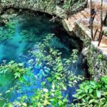 Zapote Cenotes Adventure Tour Prehistoric Park - Analyzing the Value: Cost Against the Experience
