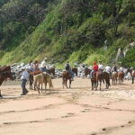 Zihuatanejo: Horseback Riding on the Beach - Authenticity and Value