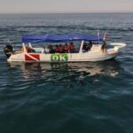 Zihuatanejo Ixtapa Humpback Whale Watching - The Itinerary in Detail